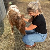 Atelier expérientiel avec les chevaux : Toucher conscient, régulation du système nerveux et relation